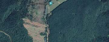 "Tunguska" de la Cheia va fi reîmpădurită parțial, în acest an, de Direcția Silvică Prahova